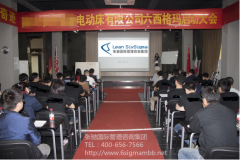 浙江某著名品牌家具公司精益六西