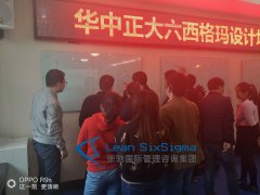 华中正大有限公司六西格玛设计项
