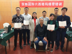 第339期上海4月张驰六西格玛绿带培