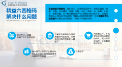 纺织品行业实施精益六西格玛咨询