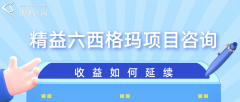 精益六西格玛项目咨询收益如何延