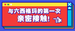 第一次亲密接触6西格玛培训