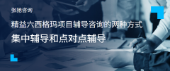 精益六西格玛项目辅导咨询的两种