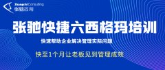 比六西格玛更快速的管理方法张驰