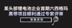 某头部锂电池企业首期六西格玛黑