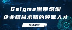 6sigma黑带培训提升个人职业素养与