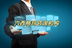中国六西格玛管理咨询机构的分析