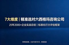 选六西格玛咨询公司的7个维度：我