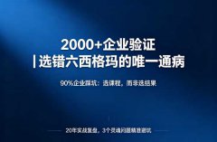 我帮2000多家企业选过六西格玛咨询