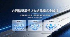 六西格玛黑带3种培养模式对比：哪