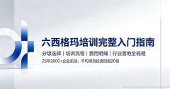 六西格玛培训完全指南：从入门到