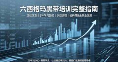 六西格玛黑带培训完全指南：20天掌