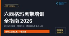 六西格玛黑带培训实录：20天课程，