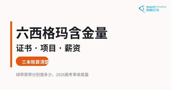 六西格玛含金量2026封面