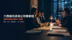 六西格玛咨询公司哪家好？采购尽